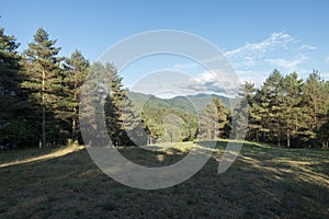 Natural environment of the town of Ripoll in Girona