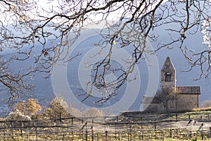 Natural environment Trentino country