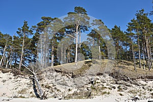 Natural erosion shore
