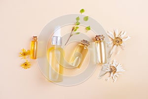 Natural essential oils, dried flowers and fresh leaves in still life compositions.