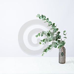 Natural eucalyptus plant twigs in vintage grey glass vase bottle