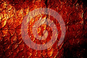 Natural exuviae texture