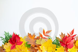 Natural fall leaves background