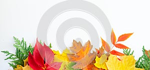Natural fall leaves background
