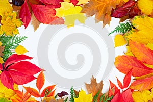 Natural fall leaves background