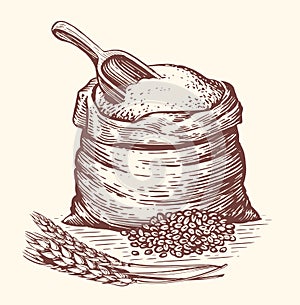 Sack or burlap bag with wholemeal bread flour, barley grains, wooden scoop and ears of wheat. Natural farm food sketch