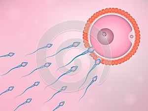 Natural fertilization, sperm and egg cell