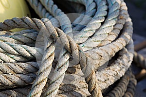 Natural fibre rope