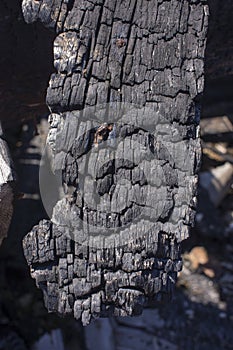 Natural fire ashes with dark grey black coals texture. It is a flammable black hard rock. copyspace