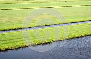 Natural flood zone, canals and green lawns around Reeuwijk, Holland, The Netherlands