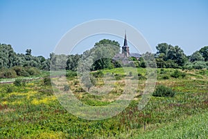 Natural flood zone of the River Waal and natural surroundings, The Nederlands