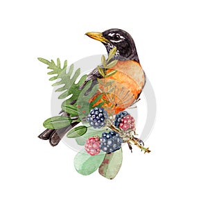 Natural floral decor with robin bird and forest elements. Watercolor illustration. Hand drawn beautiful bird with floral