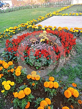 Natural Flower gurden