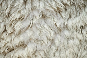 Natural fluffy flat sheep skin background texture