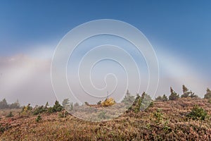 Natural fog bow on meadow with blue sky in national park
