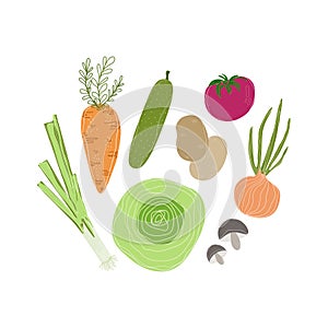 Natural food, organic fruits and vegetable set. Department store goods. Carrot, cucumber, cabbage, potato, tomato, onion