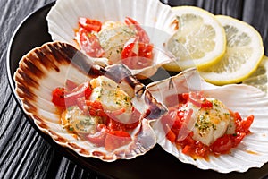 Natural food: scallops in a shell with sauce, tomatoes, parsley