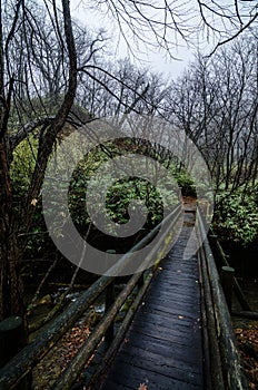 Natural footbath at the Oyunuma River