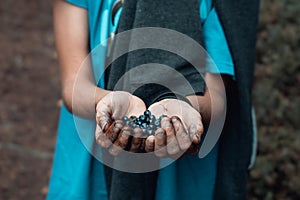 Natural forest blueberries kept in hands