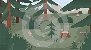 Natural forest landscape vector flat illustration. Wild woods scenery with spruces, stumps, bushes, trees and grass