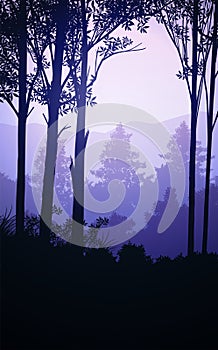 Natural forest mountains horizon hills silhouettes of trees. Evening Sunrise and sunset. Landscape wallpaper. Illustration vector.