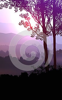 Natural forest mountains horizon hills silhouettes of trees. Evening Sunrise and sunset. Landscape wallpaper. Illustration vector.