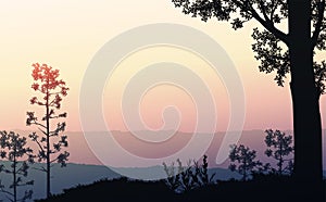 Natural forest mountains horizon hills silhouettes of trees. Sunrise and sunset. Landscape wallpaper. Illustration vector style.