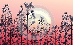 Natural forest mountains horizon hills silhouettes of trees. Sunrise and sunset. Landscape wallpaper. Illustration vector style.