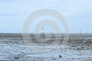 Natural forest and sky at Don Hoi lot in Samut songkham.