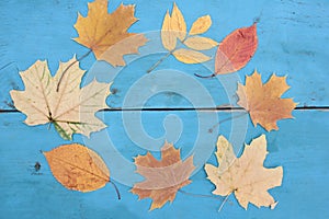 Natural frame with autumn leaves on blue wooden background. Flat lay fall composition with copy space.