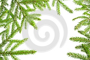Natural frame of fresh green spruce branches on a white background, isolate. Christmas, new year, Christmas tree.
