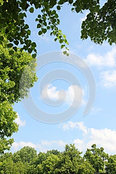 Natural frame of lime and maple leaves and trees, blue sky