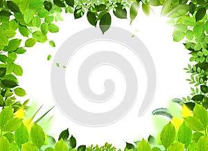 Natural frame and template