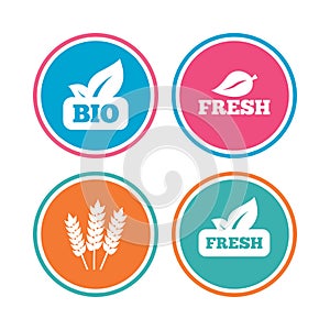 Natural fresh Bio food icons.