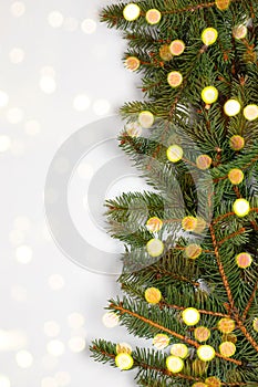 Natural fresh green pine christmas tree branches with bokeh lights background