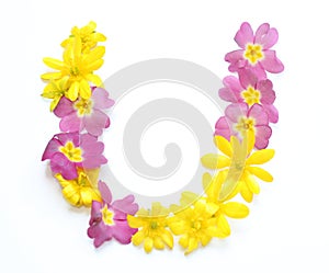 natural fresh yellow pink flowers U freshly picked in spring