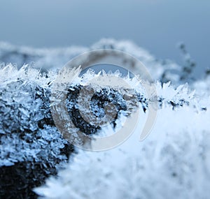 Naturale gelo la neve cristalli 