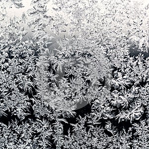 Natural frozen pattern on windowpane in winter