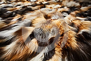 Natural fur, texture, background