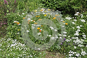 Natural Garden details of Umeda Sky Tower from Osaka City in Japan