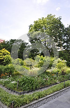 Natural Garden of Umeda Sky Tower from Osaka City in Japan photo