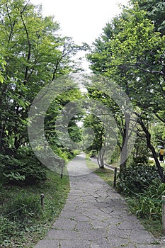 Natural Garden of Umeda Sky Tower from Osaka City in Japan