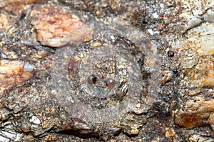 Natural garnet on the rock