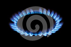 Natural gas burning a blue flames on black background, propane is burning on the gas cooker.