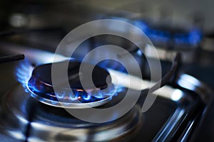 Natural gas burning by blue flames in kitchen stove. Food cooking concept.