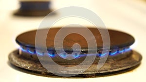 Natural gas burning on white enameled domestic stove at kitchen. Close up of natural gas flames in gas stove on the