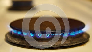 Natural gas burning on white enameled domestic stove at kitchen. Close up of natural gas flames in gas stove on the