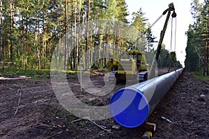 Natural gas pipeline construction work. Crawler crane with side boom Pipelayer Installation of  gas and crude oil pipes in ground