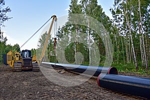 Natural gas pipeline construction work in forest area. Crawler crane with side boom Pipelayer Installation of  gas and crude oil