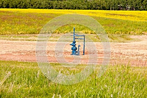 Natural gas wellhead Alberta Canada grassland